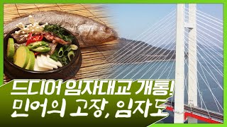 민어의 주산지인 임자도! 드디어 육지와 연결 됐습니다! 그리고 이렇게 큰 대파 보신적 있으신가요??? #임자도 #민어 #대파