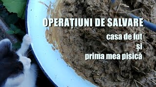 Operațiuni de salvare: casa de lut și prima mea pisică