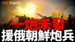 朝鮮炮兵毫無作為，穀山大炮一炮未發！朝鮮炮兵編制，戰場表現預測！俄指揮體系拉胯，情報獲取能力為零！朝鮮炮兵的結局！| 烏俄戰爭 | 朝鮮 | 庫爾斯克 | 火炮 | 穀山大炮 | BTG |