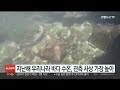 지난해 우리나라 바다 수온 관측 사상 가장 높아 연합뉴스tv yonhapnewstv