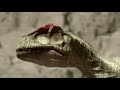 walking with series 1999 2005 allosaurus fragilisi screen time