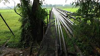 Pipe Dolong | Merbil Majuli village | Dulaijan Naharkatia Road