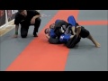 jonathan beckerman miami open fight 2