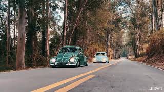 the forrest run | slammed vw bugs - ALEIXOPHOTO 4K