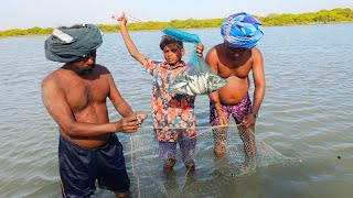 ஒரே பாட்டில் பிடித்த அதிக மீன்கள்