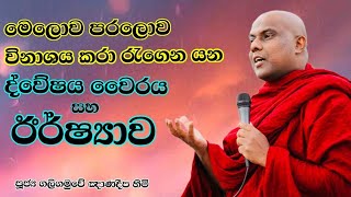 මෙලොව පරලොව විනාශය කරා රැගෙන යන ද්වේෂය වෛරය සහ ඊර්ෂ්‍යාව (ගලිගමුවේ ඥානදීප හිමි)