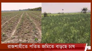 রাজশাহীর সীমান্ত এলাকায় পতিত জমিতে বাড়ছে ফসলের আবাদ 26Dec.21| Rajshahi Agri