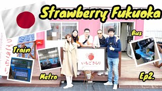 เที่ยวไร่สตอเบอร์รี่​ นั่งรถไฟ​ รถเมย์​ รถไฟใต้ดิน​ ฟุกุโอกะ​ Strawberry​ Fukuoka​ Japan​  Ep2.