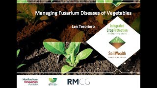 Fusarium wilt management in vegetables with Dr Len Tesoriero