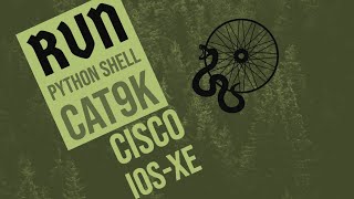 Python Shell on Catalyst 9K: A Beginner's Guide