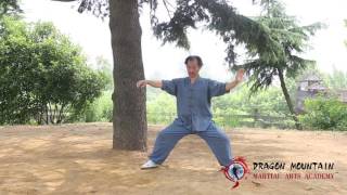 Chen Style Tai Chi | Master Yu | Dragon Mountain Martial Arts Academy