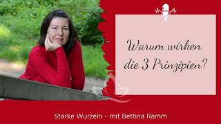 Warum wirken die 3 Prinzipien? (#79)