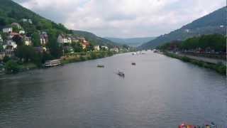 Heidelberg Dragon Boat Races 2012 / Drachenbootrennen: Aufstellung - Hühnergarten unterwegs