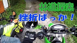 GROMとKLX125で突撃林道探索～なんなんコレ。