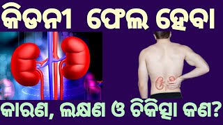 Cause,symptoms and treatment of kidney failure | କିଡନୀ ଫେଲ୍ ହେବାର କାରଣ, ଲକ୍ଷଣ ଓ ଚିକିତ୍ସା କଣ? |