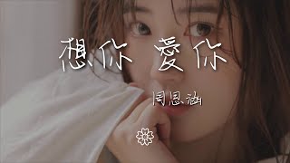 周思涵 - 想你 愛你『不止三百六十五天』【動態歌詞Lyrics】