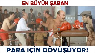 En Büyük Şaban Türk Filmi | Şaban Para Bulmak İçin Dövüşüyor! Kemal Sunal Filmleri