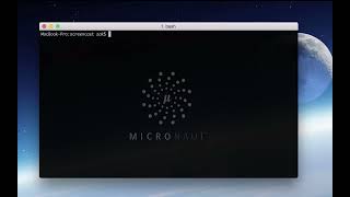 Micronaut CLI Introduction