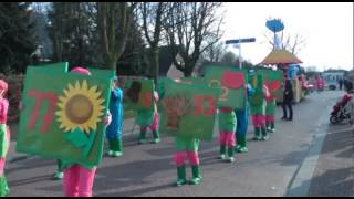 Carnavalsoptocht Wintelre 2014