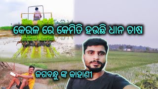 କେରଳ ରେ କେମିତି ହଉଛି ଧାନ ଚାଷ ¡ prafu1512