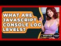 What Are JavaScript Console Log Levels? - JavaScript Toolkit