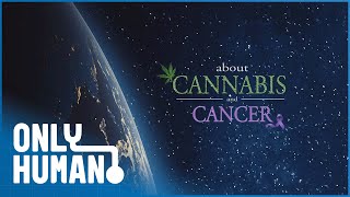 About Cannabis & Cancer (2019) | Treating Illness With Marijuana: Does It Work? | Only Human