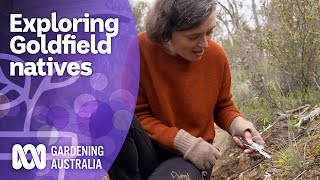 The hidden variety of plants growing in Goldfields | Australian native plants | Gardening Australia