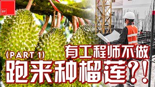 【#榴莲实验室】有工程师不做 跑来种榴莲？！【Part 1】