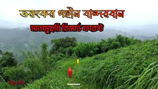 মাতামুহুরী রিজার্ভ ফরেস্ট অভিযান  - Matamuhri Reserve forest expedition | পর্ব-১ | Bandarban