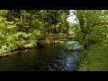 tranquil bridge over gentle stream relaxing nature sounds for stress relief u0026 sleep