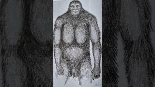 Eyewitness Sketches of Sasquatch from the Book Tribal Bigfoot by David Paulides #bigfoot #drawing