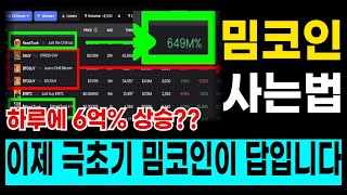 하루에 6억% 상승하는 코인도 나오고 있네요 - 극초기 밈코인이 답이 될수밖에 없는 이유 / 밈코인사는법