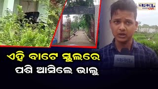 ଏହି ବାଟେ ସ୍କୁଲରେ ପଶି ଆସିଲେ ଭାଲୁ | Odia News Live Updates | Latest Odia News | Samayalive