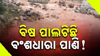 River Pollution Crisis: Toxic Spill In Bansadhara River Affects Aquatic Life In Kalahandi