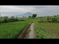 suasana pedesaan di tanah pasundan diiringi kecapi suling sunda...