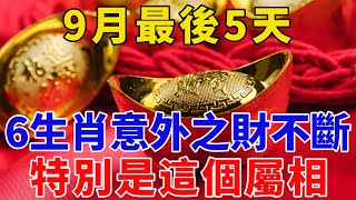 9月最後5天！這6個生肖要發財了！特別這個屬相，正財橫財一發再發！10月前告别贫穷！【般若之音】#生肖 #運勢 #風水 #財運