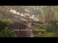 canoes houseboats in backwaters village landscape paddy fields kainakary village seen aerially