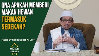 QnA Apakah Memberi Makan kepada Hewan Termasuk Sedekah?  Habib Dr Salim Segaf Al Jufri