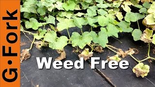 Weed Free Vegetable Garden - GardenFork