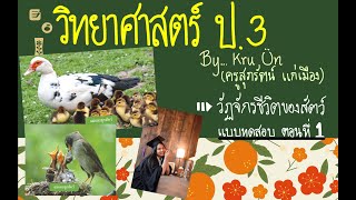 วิทยาศาสตร์ ป.3 ตอนที่ 7 บทที่ 3: วัฏจักรชีวิตของสัตว์ แบบทดสอบ #1 (ครูอัญ, โรงเรียนบ้านกระทุ่มล้ม)