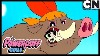 Супер Свинки | Суперкрошки | Cartoon Network