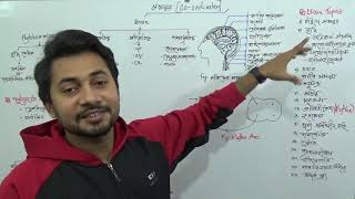 Coordination| সমন্বয় | SSC Biology Chapter 10 | Fahad Sir