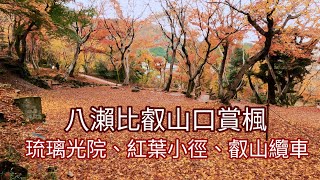 八瀨比叡山口紅葉地毯超美、超壯觀（琉璃光院、紅葉小徑、叡山纜車賞楓與練拳）