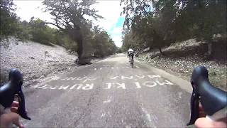 Afdaling Mont Ventoux - Bédoin