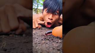 The man thought he had found a chicken egg, but it turned out there was a millipede coming out of it