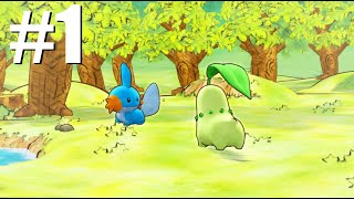 Meeting Hana! | Pokemon Mystery Dungeon: Rescue Team DX #1