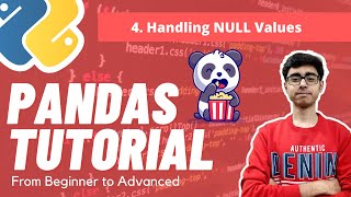 Part 4 - Handling the Null Values | Pandas Complete Tutorial | Missing Values