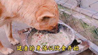 狗狗的身体健康必须从饮食开始，这是我的理念，也是我的救助方式。