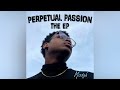 Miztyk - Perpetual Passion [Prod. beatsbyrandy] (Official Audio)