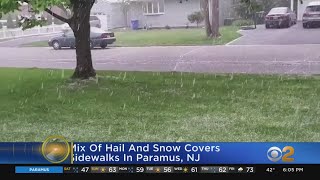 Trace Of Snow Falls In Central Park, Tying Record For Latest Snowfall